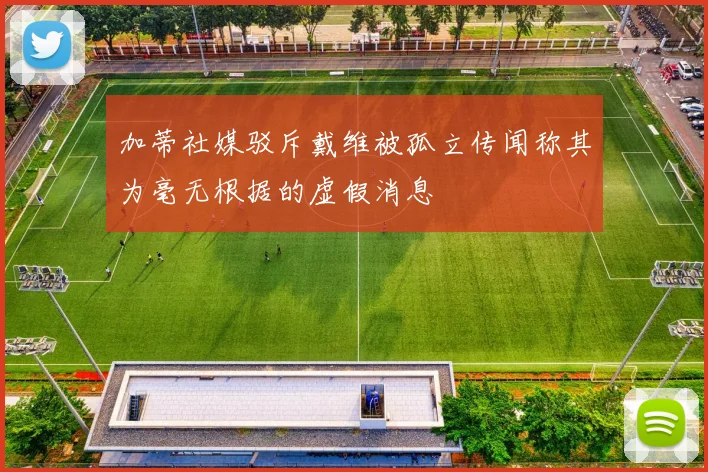 加蒂社媒驳斥戴维被孤立传闻称其为毫无根据的虚假消息