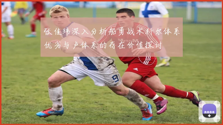 张佳玮深入分析船勇战术科尔体系优劣与卢体系的存在价值探讨