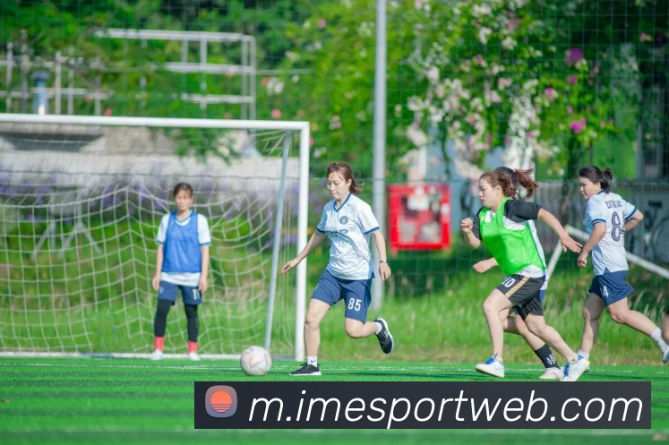 IM电竞APP 封面图